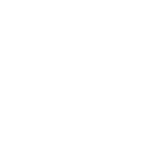 Lotus Icon 1 1